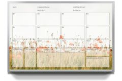 Custom Printed Hospital Scheduling Dry Erase Boards